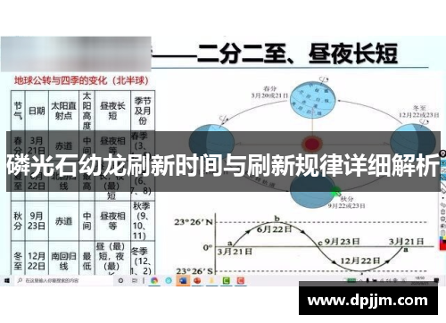 磷光石幼龙刷新时间与刷新规律详细解析